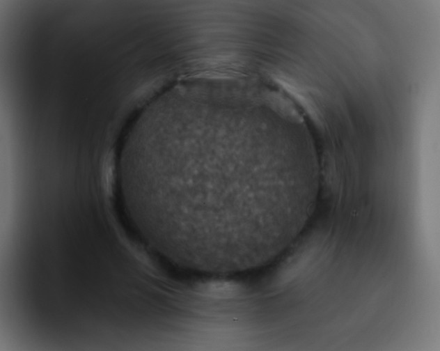 X0000093170590200710031505