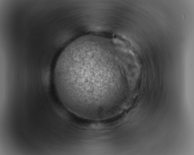 X0000093170591200710031505