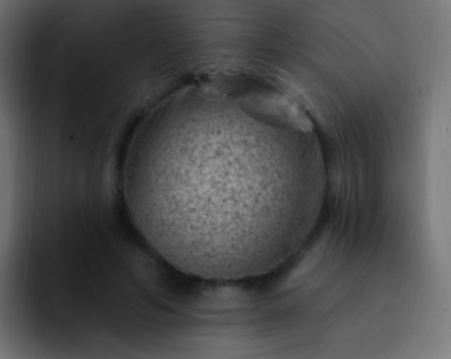X0000093170594200710031505