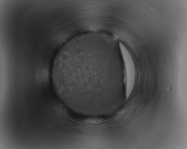 X0000093170595200710031505