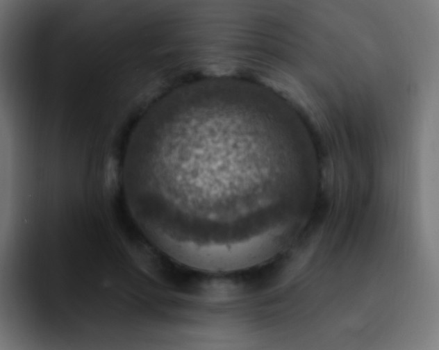 X0000093170598200710031505