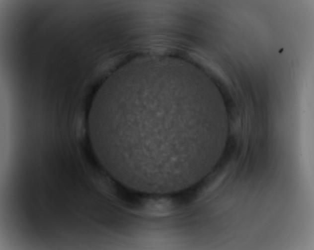 X0000093170599200710031505