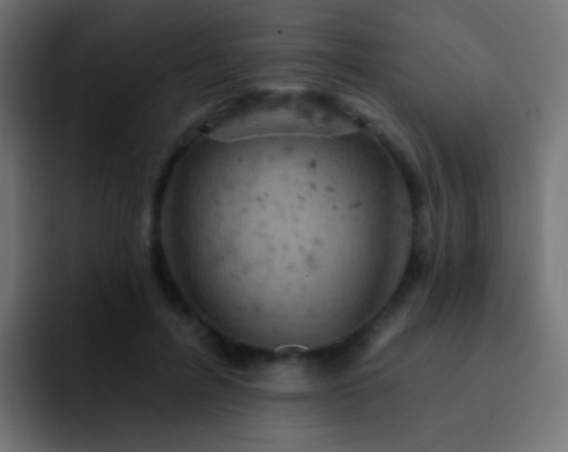 X0000093170600200710031505