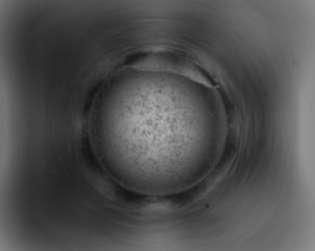 X0000093170601200710031505