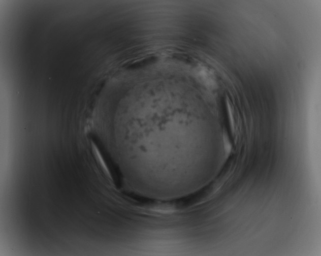 X0000093170604200710031505