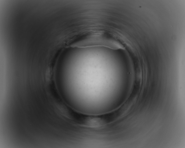 X0000093170605200710031505
