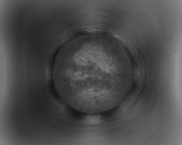 X0000093170606200710031505