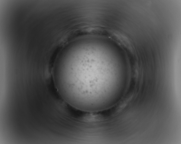 X0000093170607200710031505
