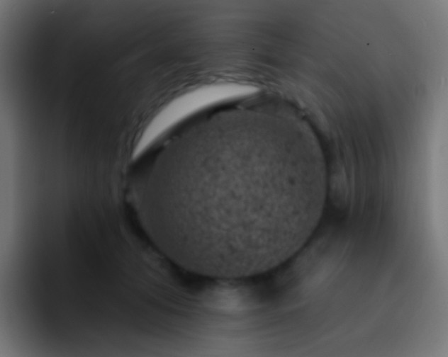 X0000093170608200710031505
