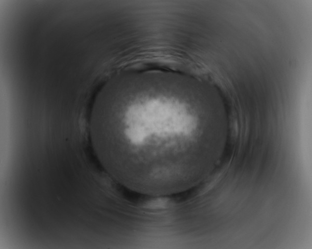 X0000093170609200710031505