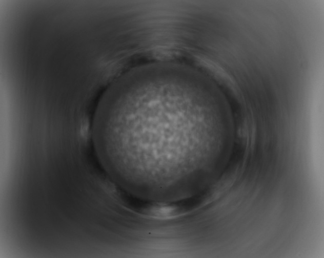 X0000093170610200710031505