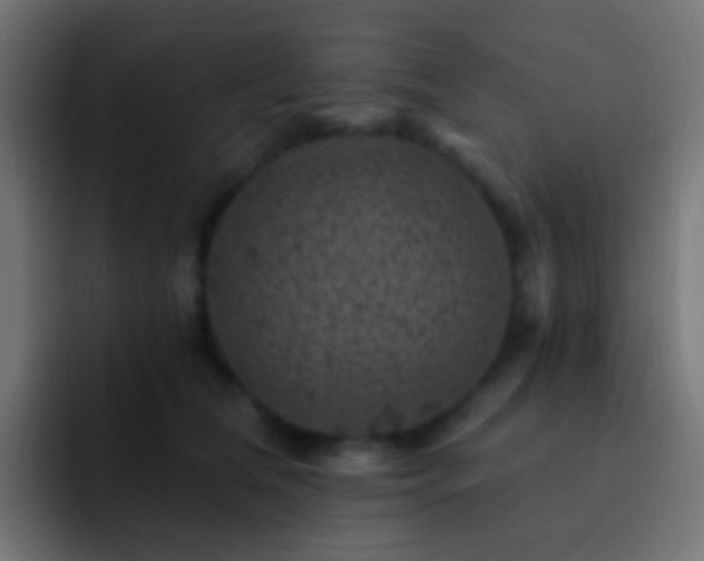 X0000093170612200710031505
