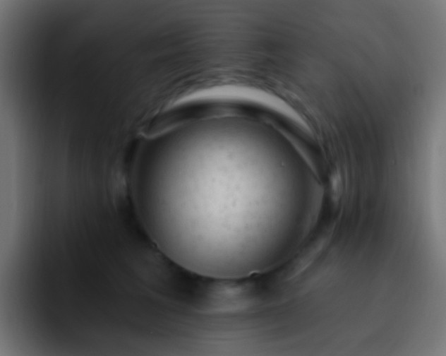 X0000093170613200710031505
