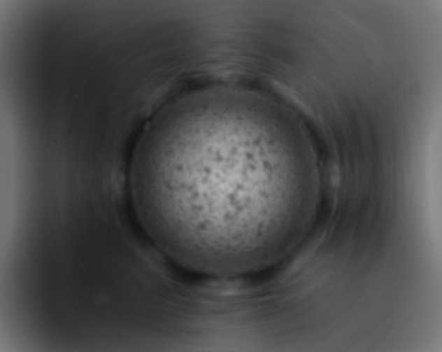X0000093170615200710031505