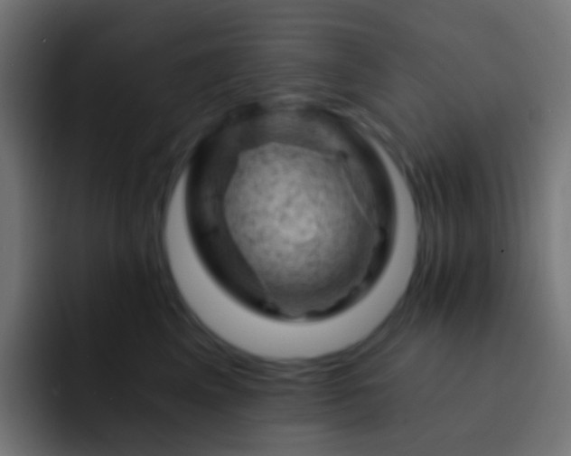 X0000093170617200710031505