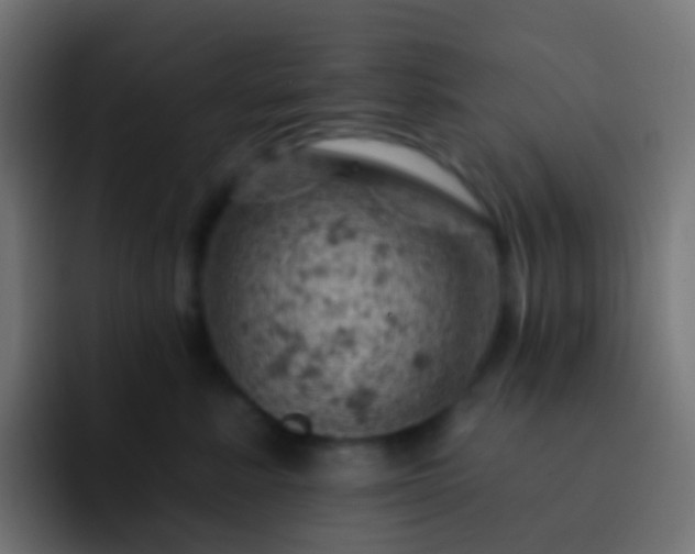 X0000093170619200710031505