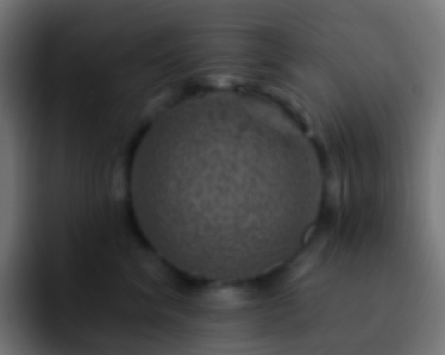 X0000093170620200710031505