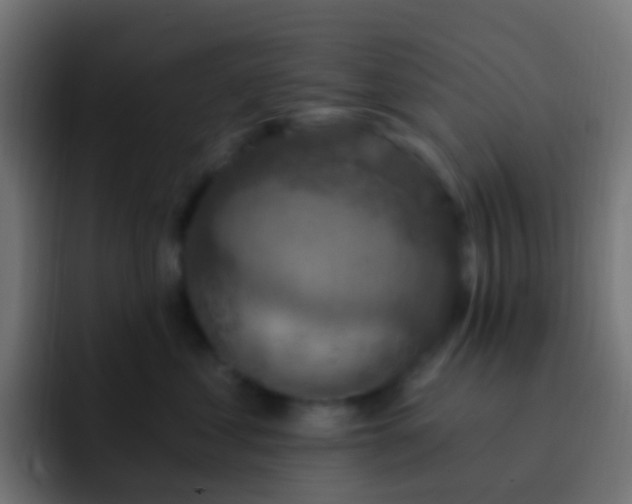 X0000093170621200710031505