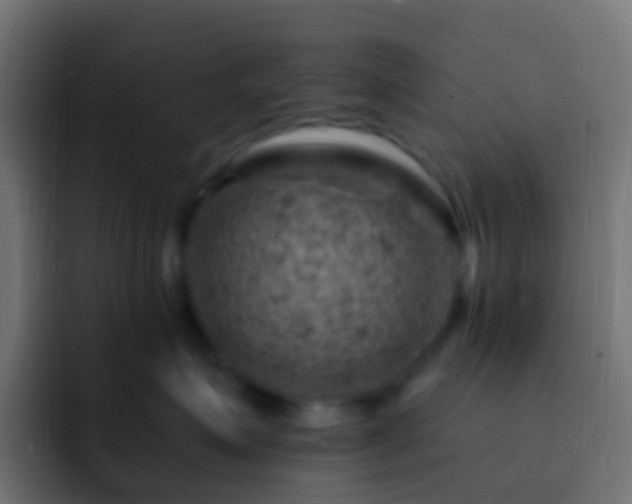 X0000093170623200710031505
