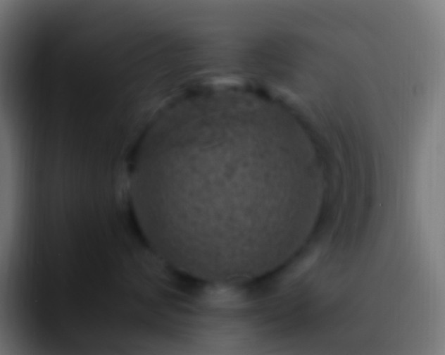 X0000093170624200710031505