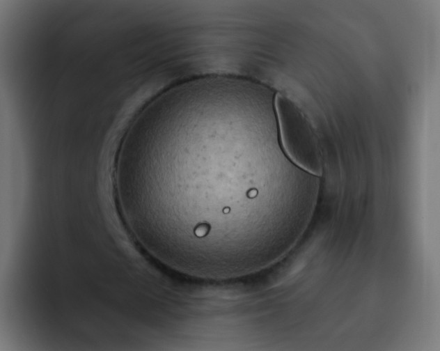X0000093170625200710031504
