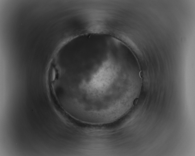X0000093170626200710031504