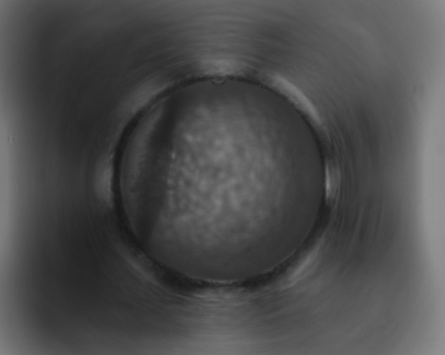X0000093170627200710031504