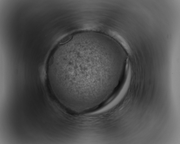 X0000093170628200710031504