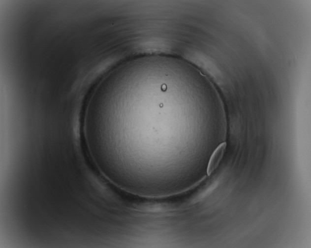 X0000093170629200710031504