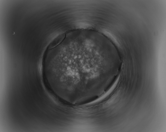 X0000093170630200710031504
