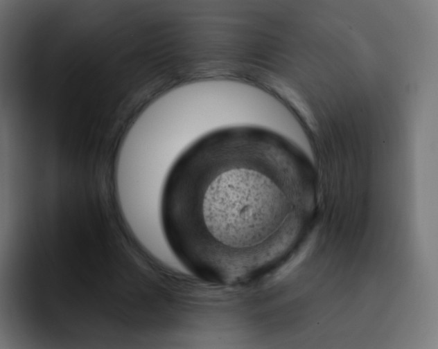 X0000093170633200710031504