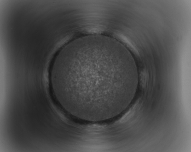 X0000093170634200710031504