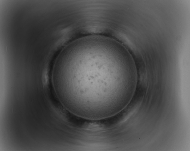 X0000093170635200710031504