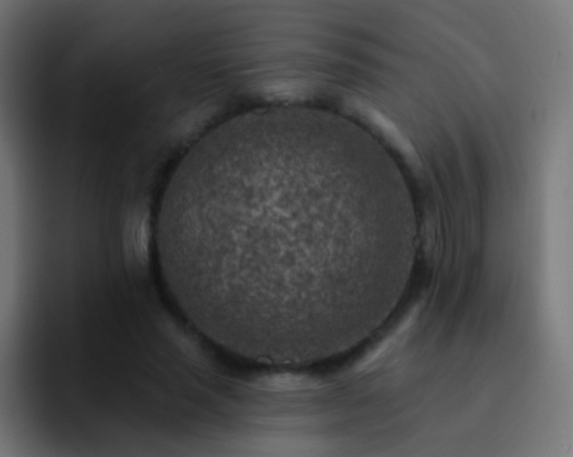 X0000093170637200710031504