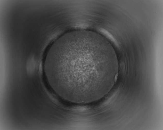 X0000093170638200710031504