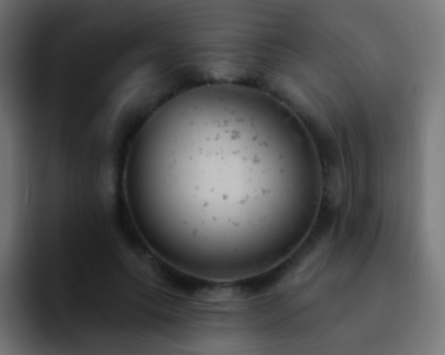 X0000093170639200710031504