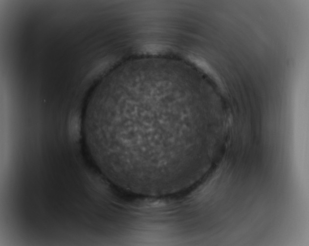 X0000093170640200710031504