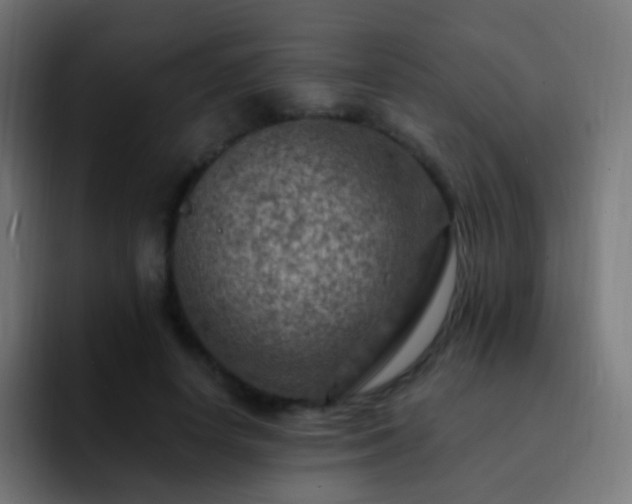 X0000093170642200710031504