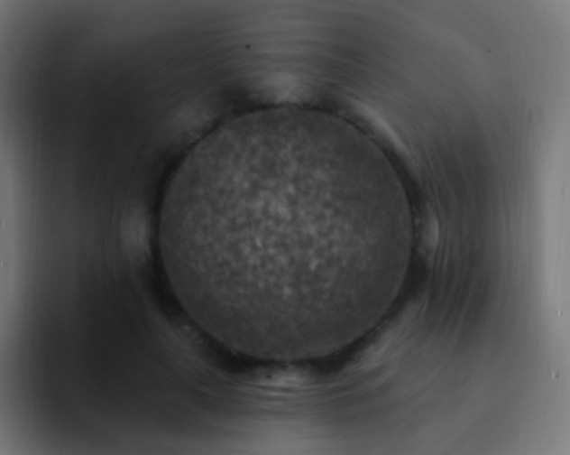 X0000093170643200710031504