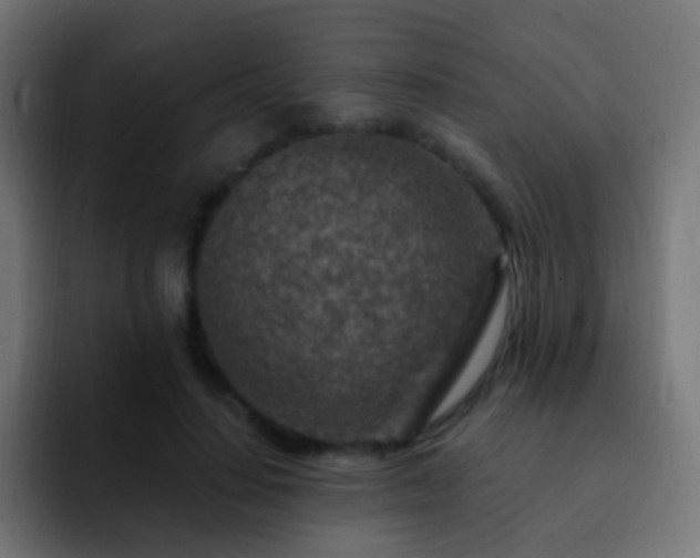 X0000093170644200710031504