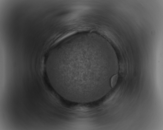 X0000093170648200710031504