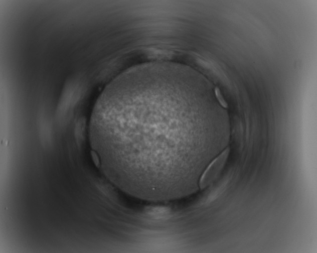 X0000093170649200710031504