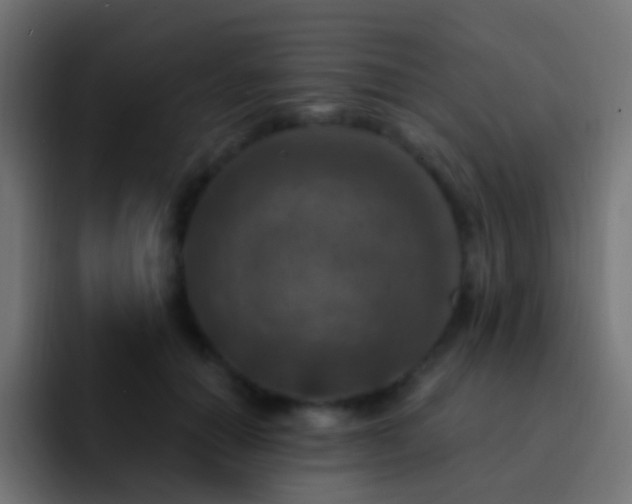 X0000093170654200710031504