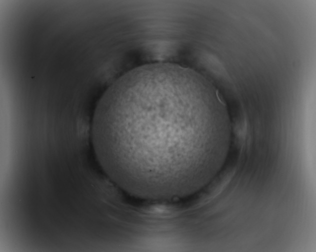 X0000093170657200710031505