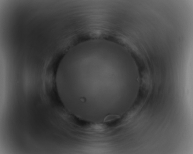 X0000093170659200710031505