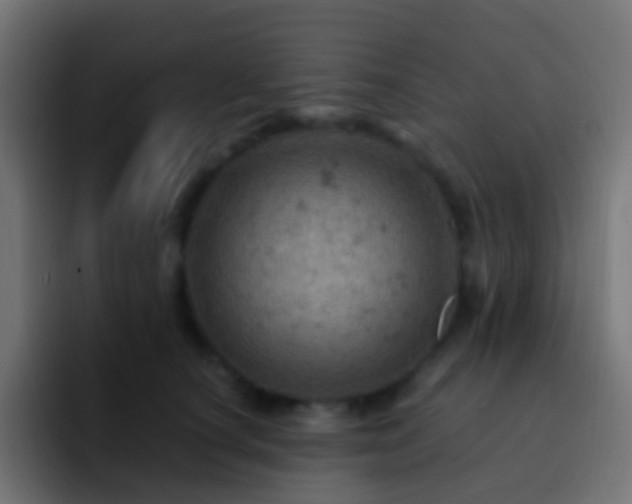 X0000093170660200710031505