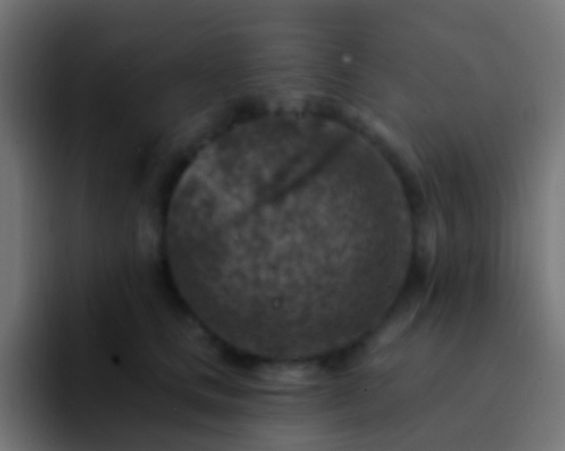 X0000093170661200710031505