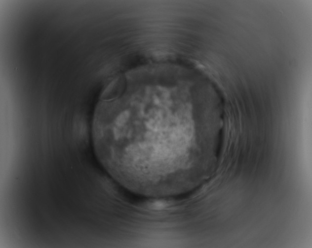 X0000093170662200710031505