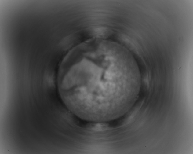 X0000093170663200710031505