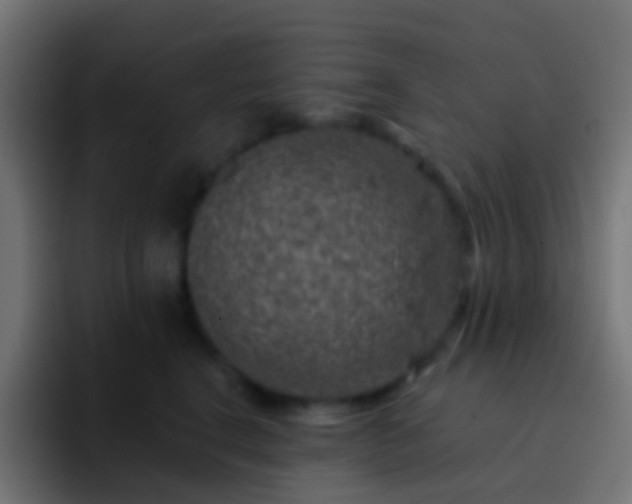 X0000093170664200710031505